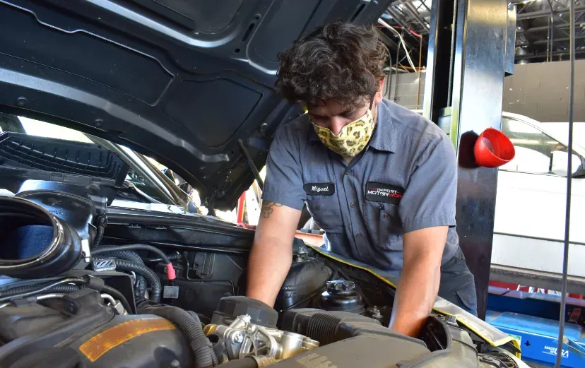 Technician inspecting an engine bay at Import MotorWorx